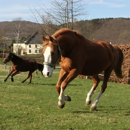 Mangs-hof Plettenberg