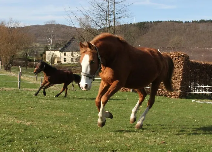 Mangs-hof Плеттенберг